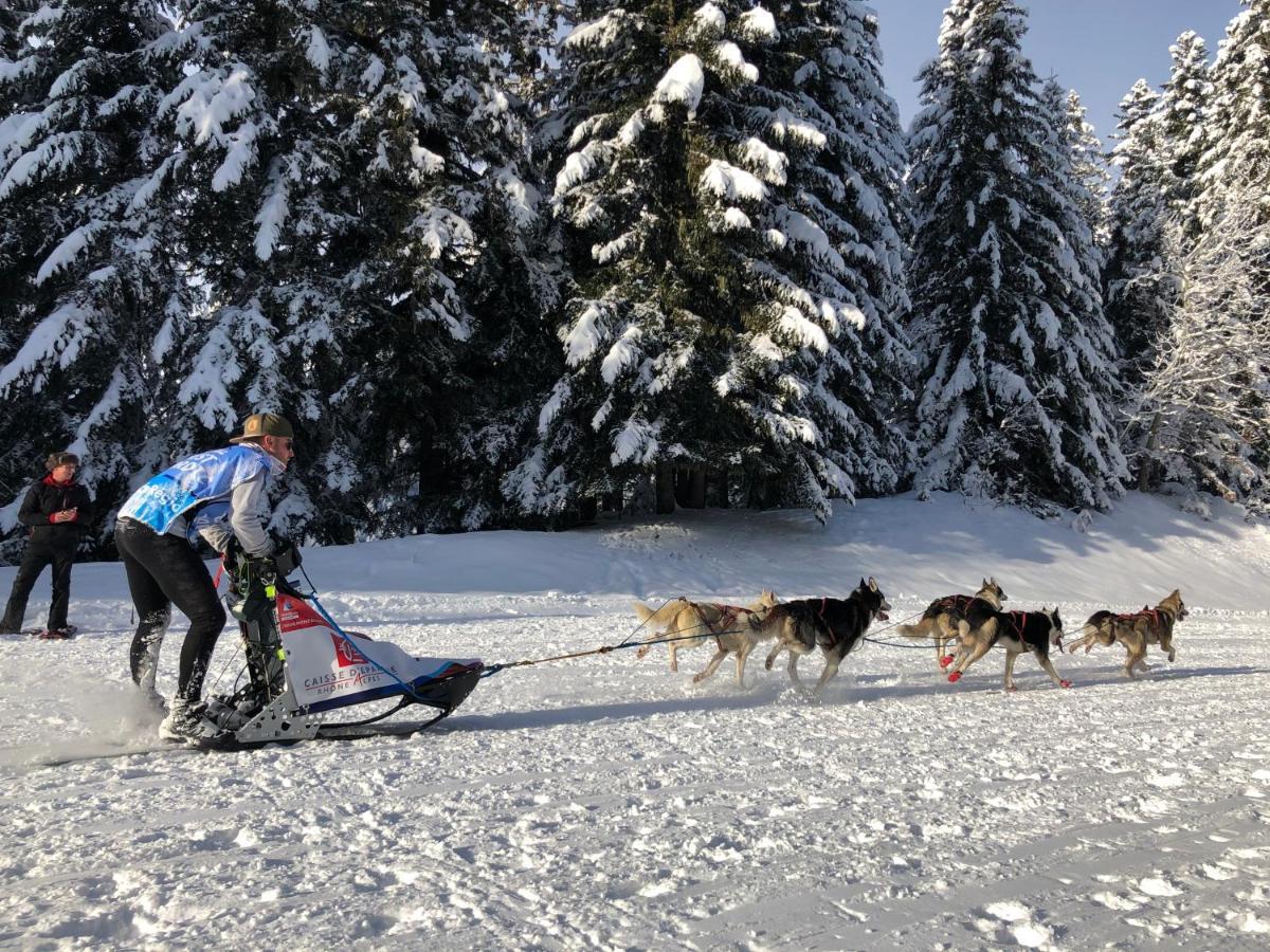 Le Doux Si: Spacious Near Doucy-combelouviere And Valmorel *