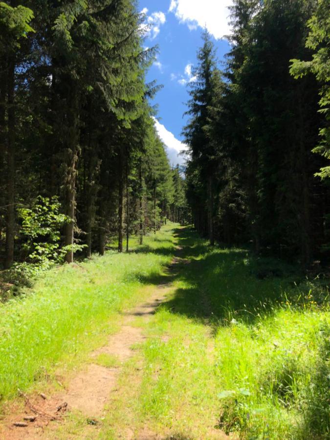 Le Doux Si: Spacious Near Doucy-combelouviere And Valmorel
