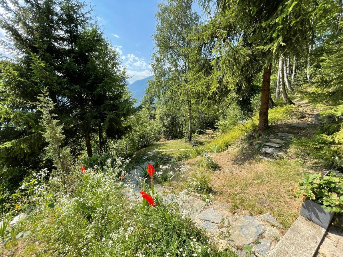 Le Doux Si: Spacious Near Doucy-combelouviere And Valmorel