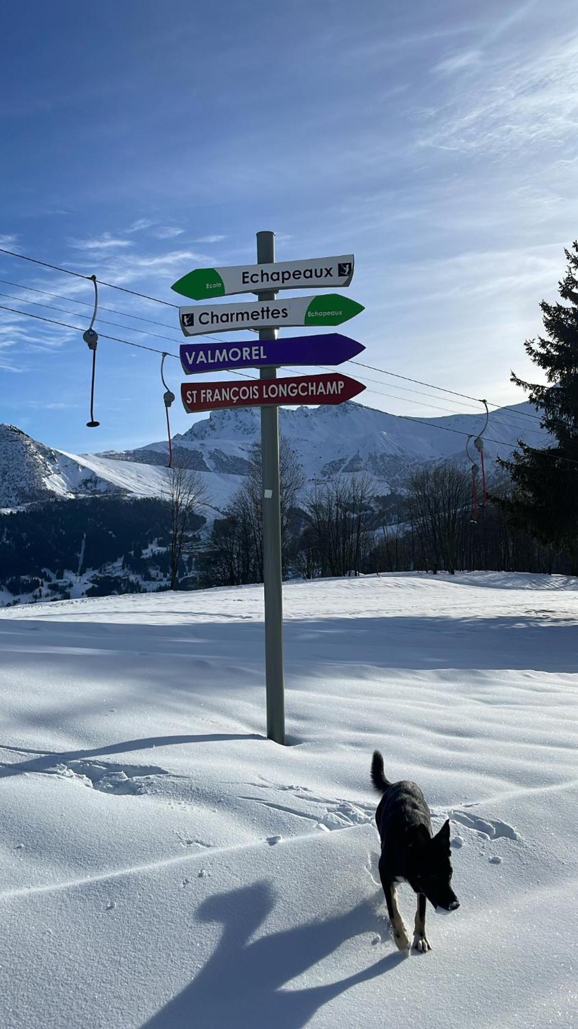 Le Doux Si: Spacious Near Doucy-combelouviere And Valmorel Chalet